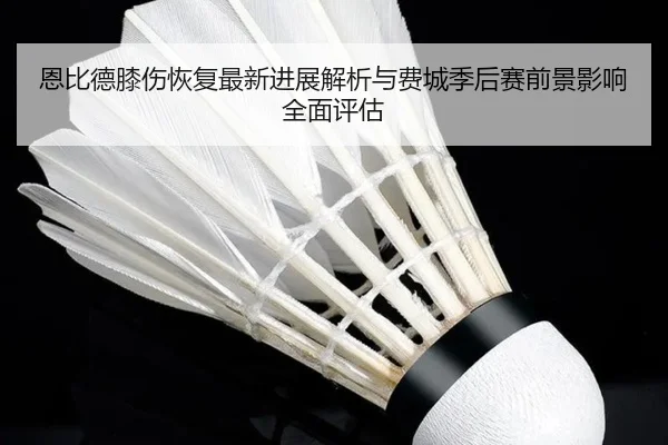 恩比德膝伤恢复最新进展解析与费城季后赛前景影响全面评估